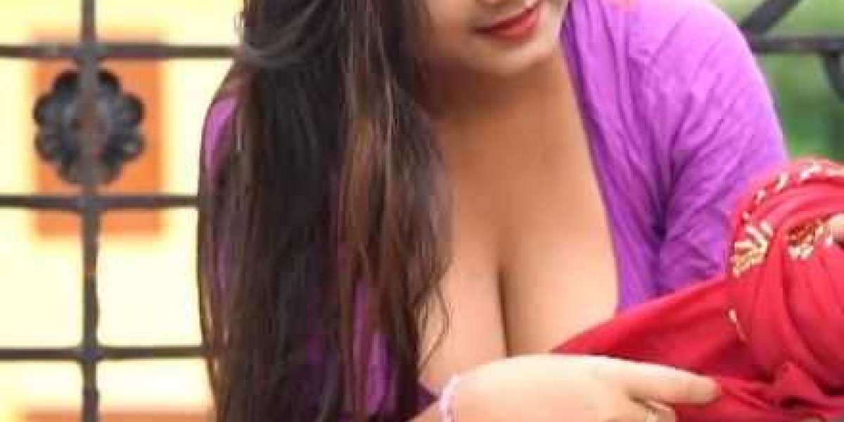 First class Service Girls Is Provided by Our hisar Escorts