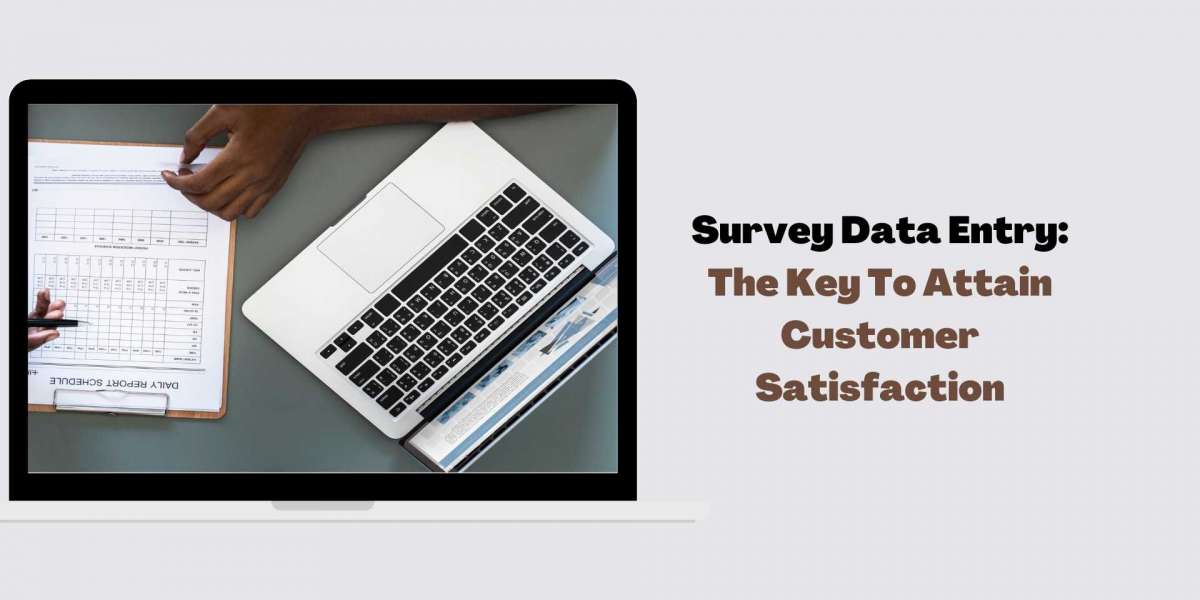 Survey Data Entry: Answering The How’s and Why’s