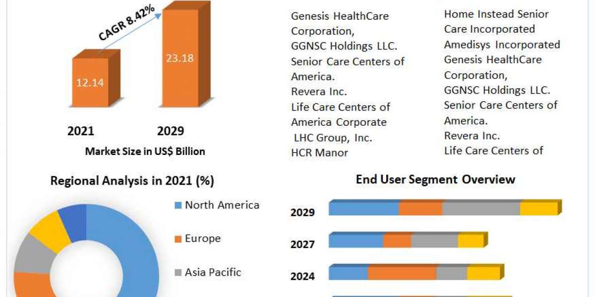 Global Palliative Care Market Revenue, Future Scope Analysis by Size, Share, Opportunities and Analysis and Forecast (20