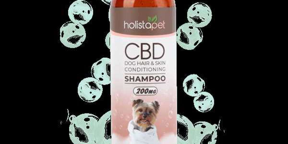 Learn more about Cbd Dog Shampoo?