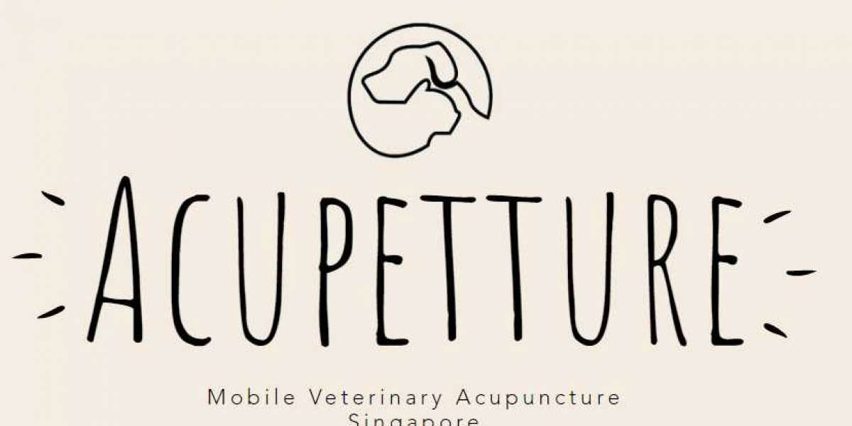Pets acupuncture treatment